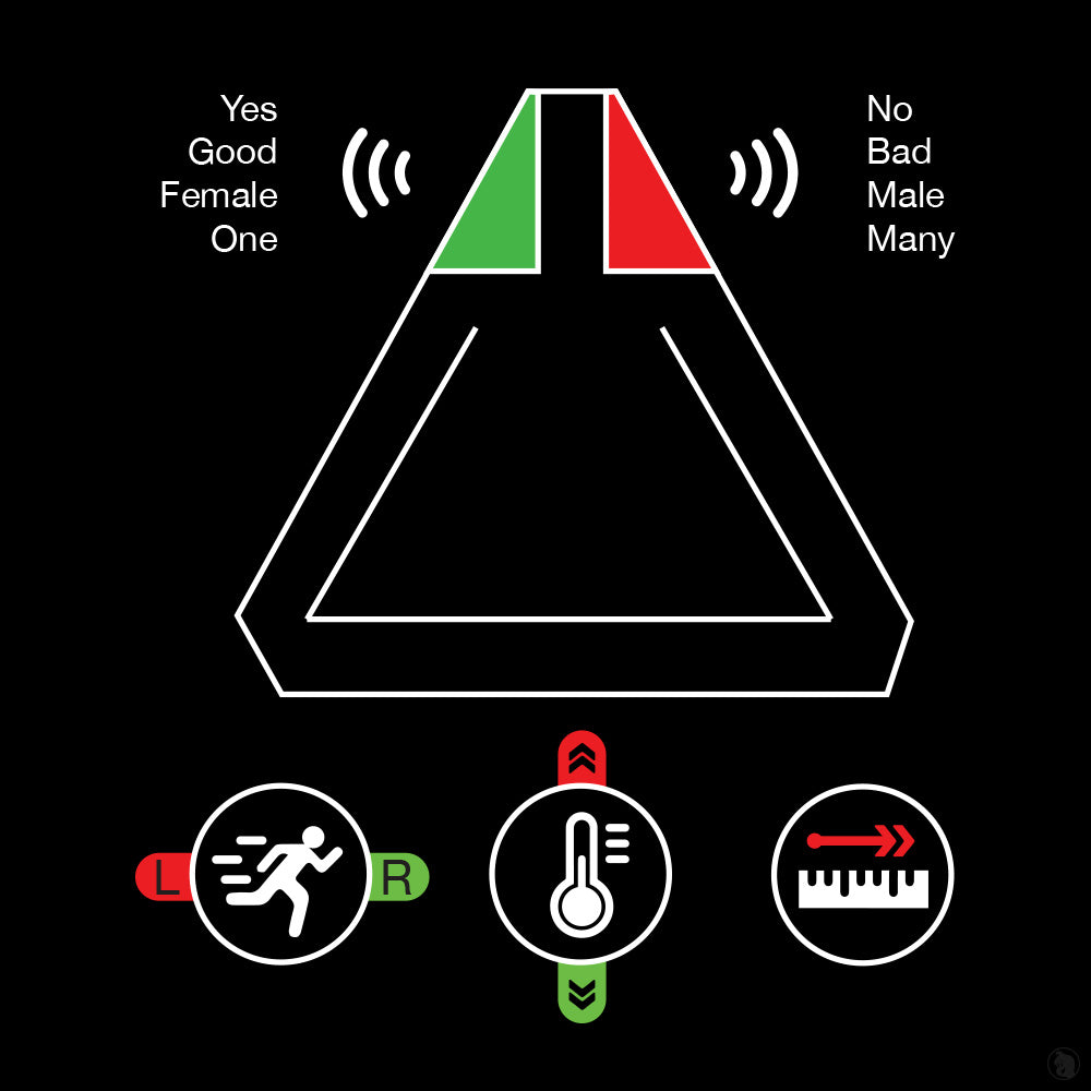 Flux 2 from Ghoststop - OZParaTech