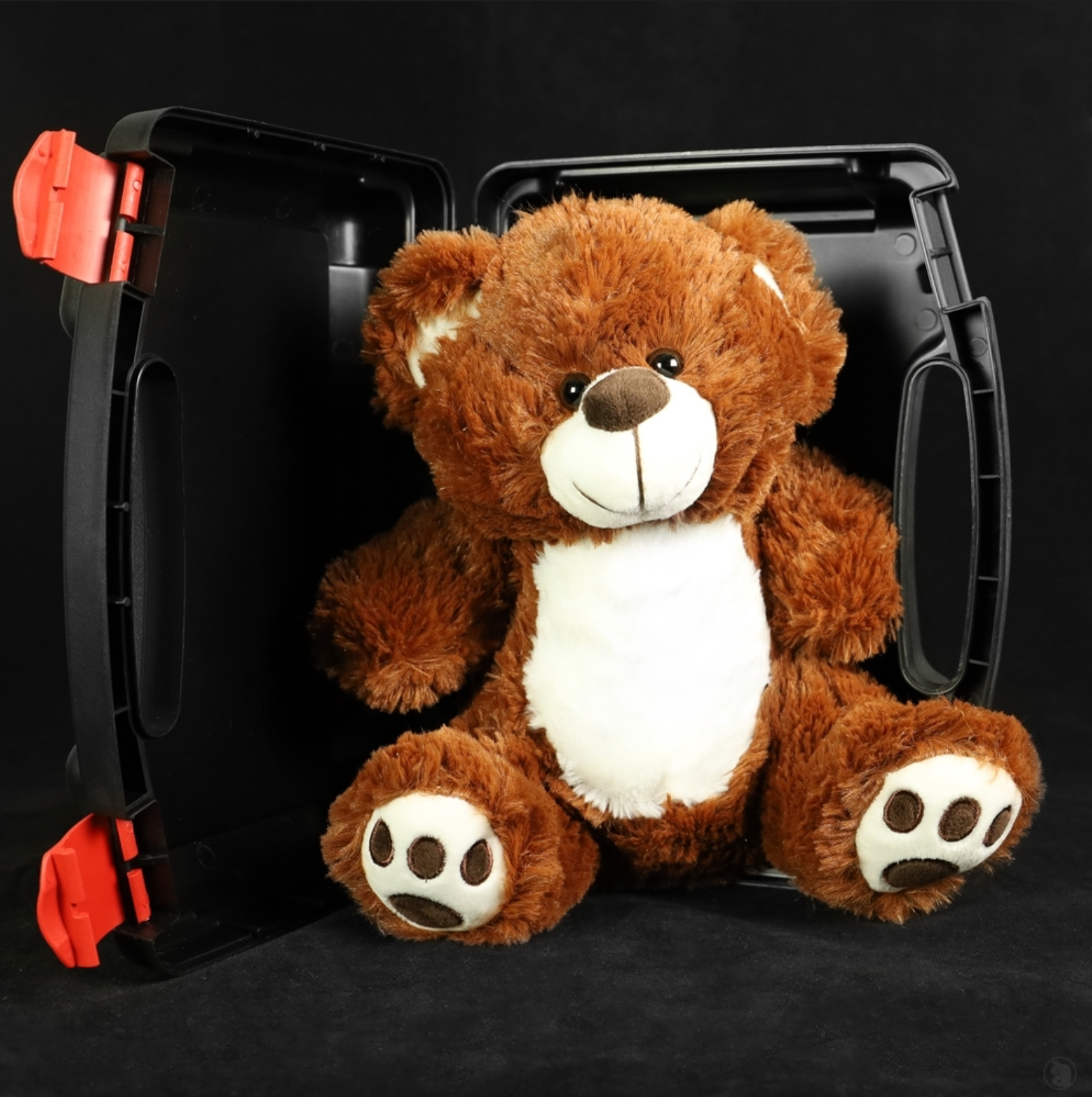 BooBuddy Interactive Bear with FREE CASE (Dark brown only) - OZParaTech